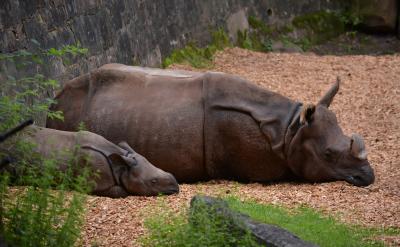 世纪老人冰心说过：读书好，好读书，读好书...
