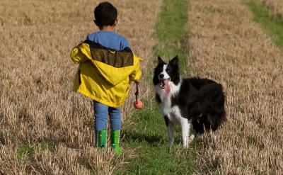 2、幻灯出示作者简介