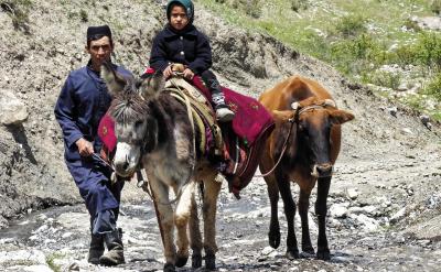 3�������Ը�ϰ�Ӵ�ķ���֣����Է�Ϊ����...