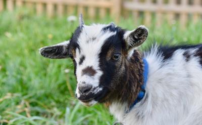 (这个同学的发言,很显然得到很多人的赞同...