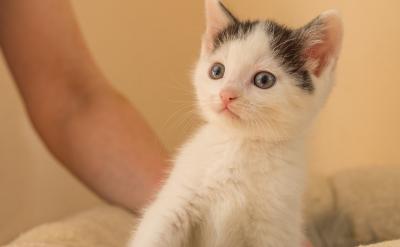 acne/spot（青春痘用品）