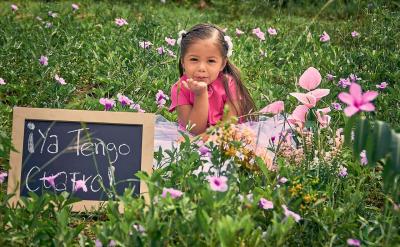 难点是理解动量守恒的物理内涵,动量及动量...