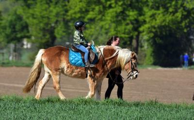 设置衣叉替代品?外行!
