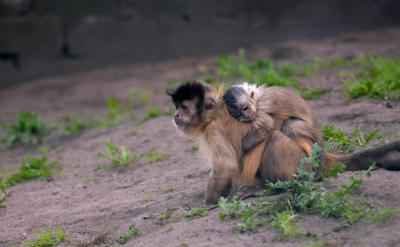 尊重孩子的兴趣与愿望