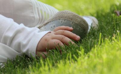 (1)在一座现代化城市中,绿化是非常重要的...