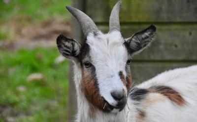 通过对地图的观察,会从三方面引起学生的形...
