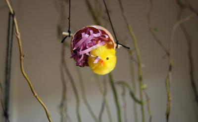 ��ѧ�����⣬һЩ��У�ڡ������³̡��н���...