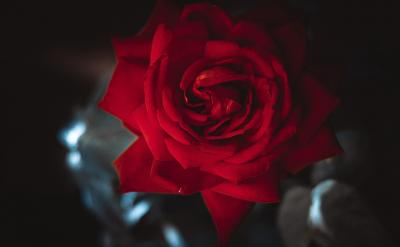 展示小组用各自喜欢的方式朗读展示,请其他...