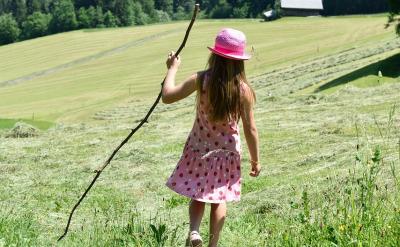 2. 怎么用好错题本?