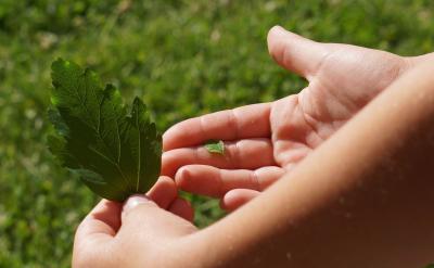 报告显示,北京大学毕业生质量最高、校友职...