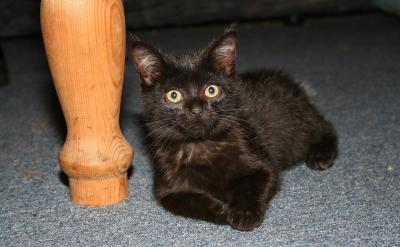 教学工作是学校的中心工作,教学质量是学校...