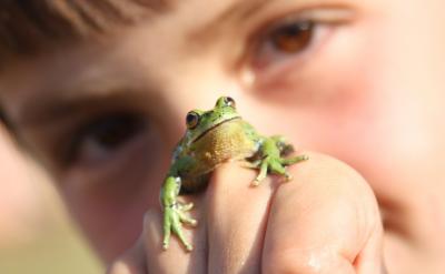 4. 社会科学是知识探究的一个分支,它致力...