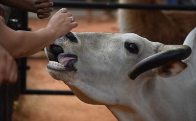 师资的稳定性也是家长需要关注的一个重要方...