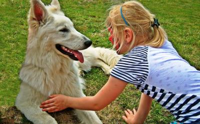 学习能力受到影响