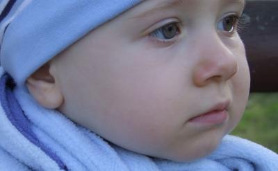 通过这些句子,我们可以清楚地看到