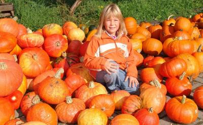 研究进展与未来展望