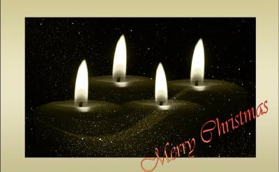 实验结果显示,当海豚听到属于自己的独特叫...