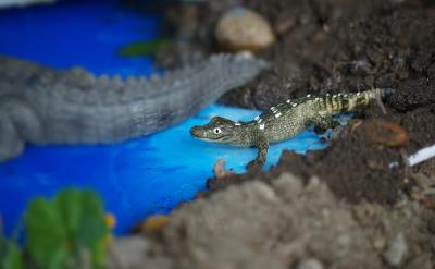 因此，我从自身找原因，给自己加压力，做到...