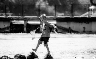 1.熟谙“畔、兜、穗、裹、嚼、肺、腑、撩”...