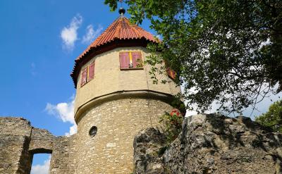 11.可回收物包括:金属、废纸、玻璃、布料...