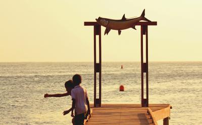 自学能力的重要性