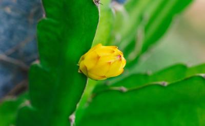 一次,带她去修皮鞋。我让她坐在鞋匠给顾客...