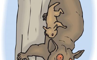 预习和复习:预习可以帮助学生提前了解学习...