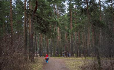 在这种情况下,部分民办幼儿园和许多自负盈...