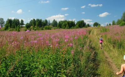第三把握散文的感情基调,一篇散文从第一个...