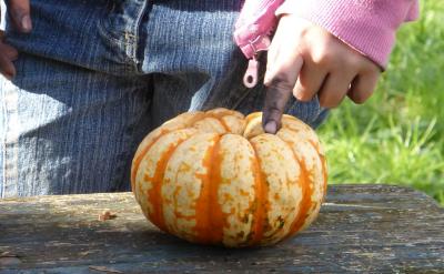 树对鸟儿说:“好的。再见!”