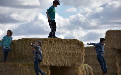 5、矢量方向假设。