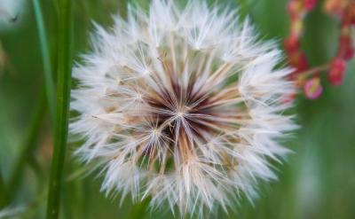 4、时间是标准表所经过的时间;