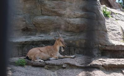 对策:在各种考试中,规范答题能帮助我们提...