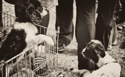 写作兴趣比方法更重要