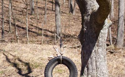 6、培养学生热爱自然的美好情操;让学生通过...