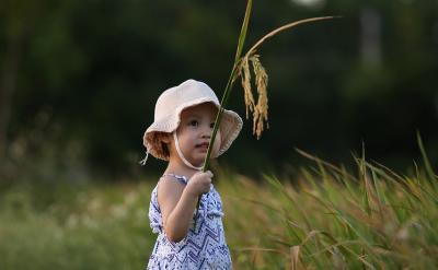 策略之三:剔除你不需要的单词。例: