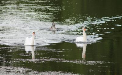 Ǽ䵥ƽʱۿļǣȻ...