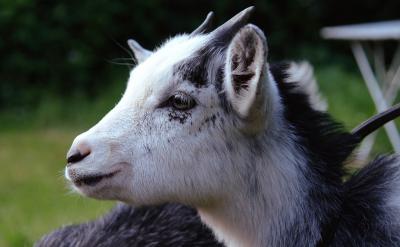 ⑤那些尚未归类的问题,详细标明,及时突破...