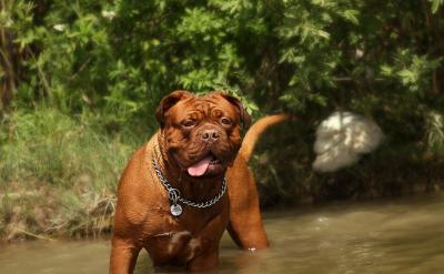 (2)家风:讲述自己家族和身边人的家风故...