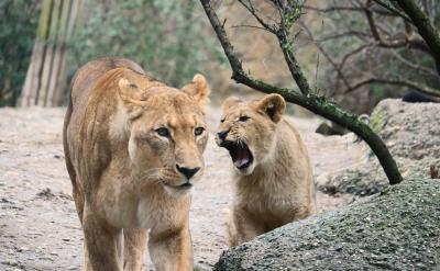 ҵĴݣҪʺϸεѧÿ...