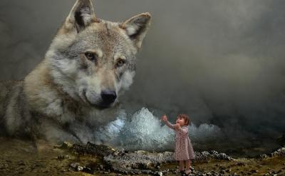 实践总结和反思: