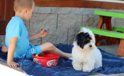 A. to solving, making B. to solving, m...