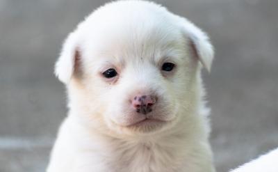 4. 合理安排作息时间:考生需要合理安排作...