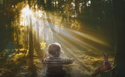 2、主动复习本册课文和积累?运用中的