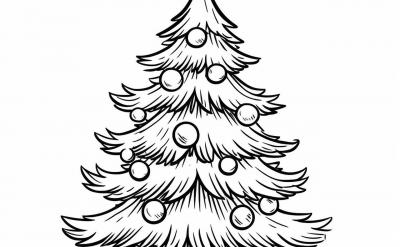 3. **标记和笔记**:在预习过程中,使用不...