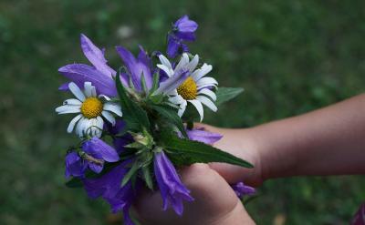 �ᵽ��Ч���Σ���������뵽�˼��屸�εĿ�...