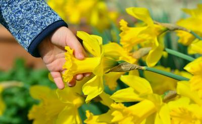 2. 高温灭菌:为了防止杂菌干扰实验结果,...