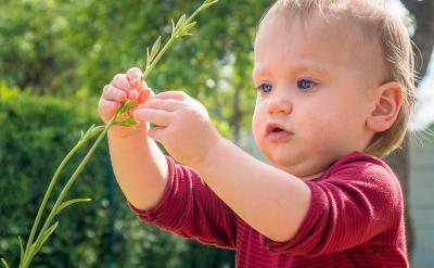 4.合理看待来自老师和社会各界的猜题、压题...