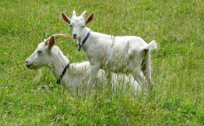 ��ˣ�ʵ�鿼�˵ķ���Ӧ�ý��иĸ����Ҫ...