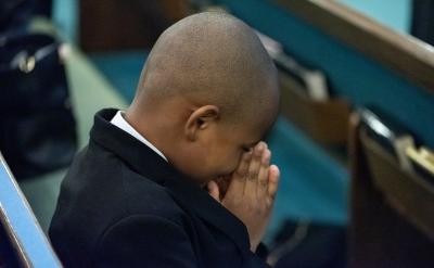 faggot wood 枝桠材；薪炭材